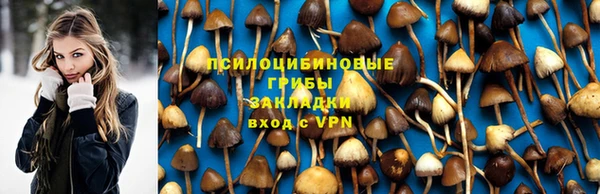 эйфоретик Алзамай