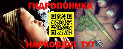 PSILOCYBIN Краснодар