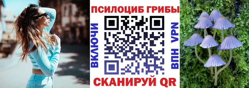 MEGA   Шали  Галлюциногенные грибы Cubensis 